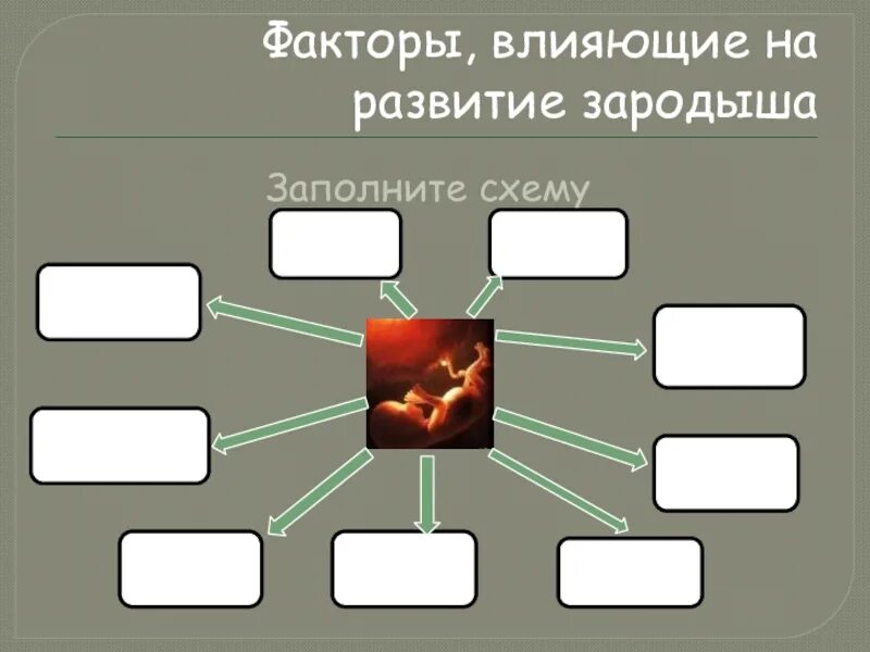 Влияние окружающей на развитие организмов. Влияние факторов на онтогенез. Факторы влияющие на онтогенез. Влияние внешних факторов на онтогенез. Факторы внешней среды на онтогенез.