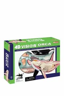 4d master