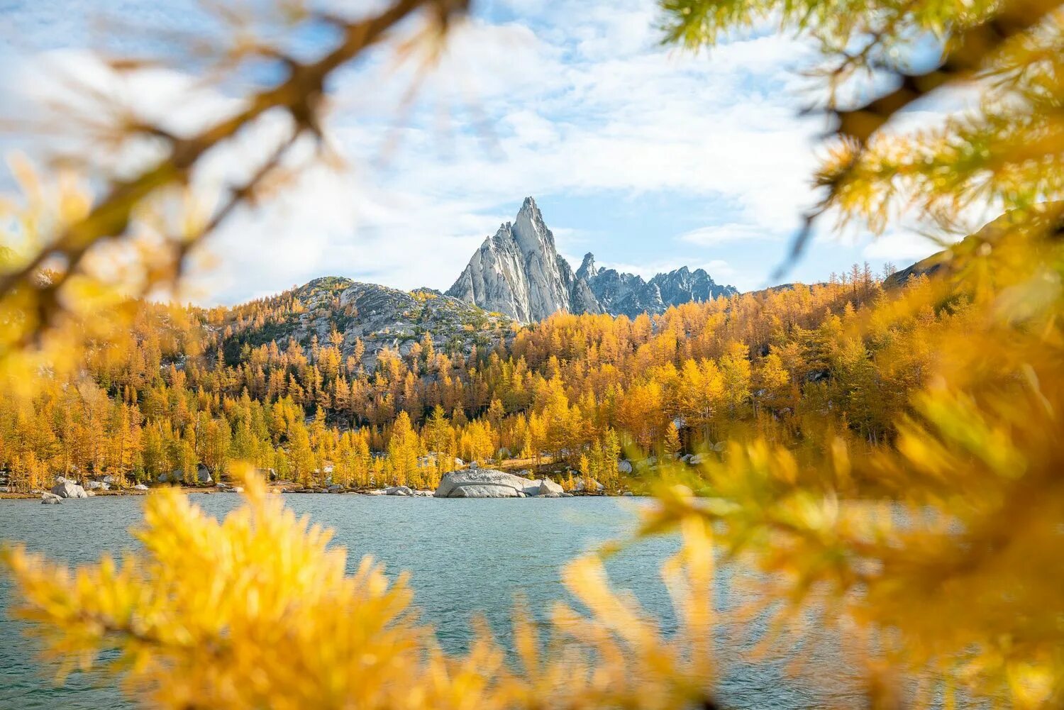 Самый искуснейший