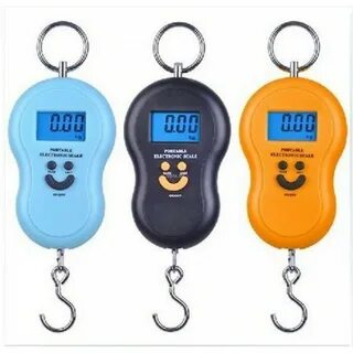 Electronic scale