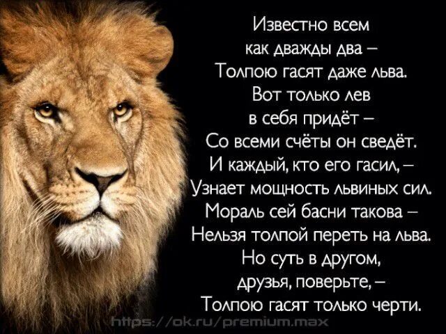 Фразы про львов. Стих про Льва. Стихи про Львов. Цитаты про Львов. Стихотворение про Льва.