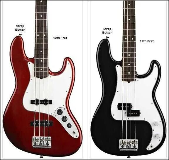 Fender Precision vs Jazz Bass. Отличие Precision Bass от Jazz Bass. Бас Jazz Precision. Пресижн бас и джаз бас отличия.