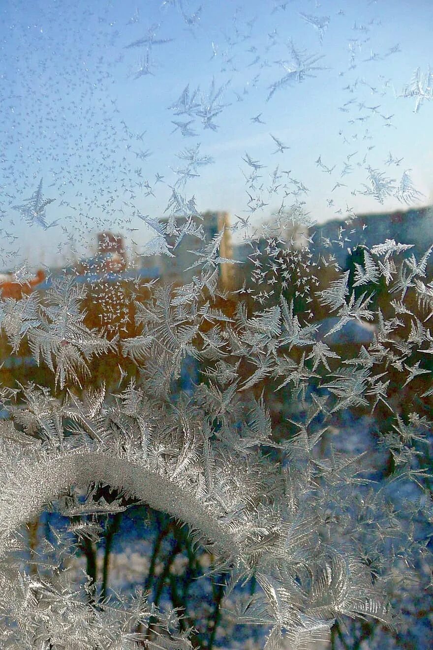 При сильных морозах на стеклах окон. Заморозки на стекле. Заморозки на окне. Замороженное окно. Заморозки окно изморозь.
