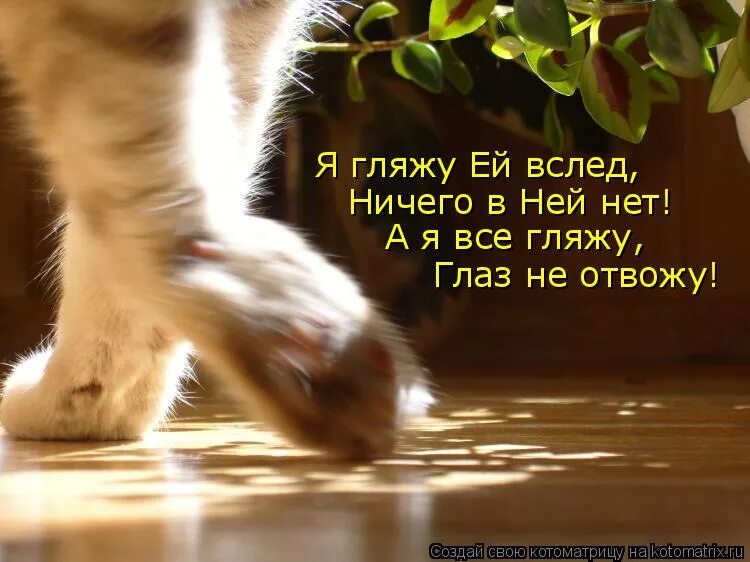Магомаев опустела без тебя. Песня лучше всех. Песня я на нее гляжу. Песенка львенка и черепахи ноты для фортепиано. Песня я на нее гляжу.