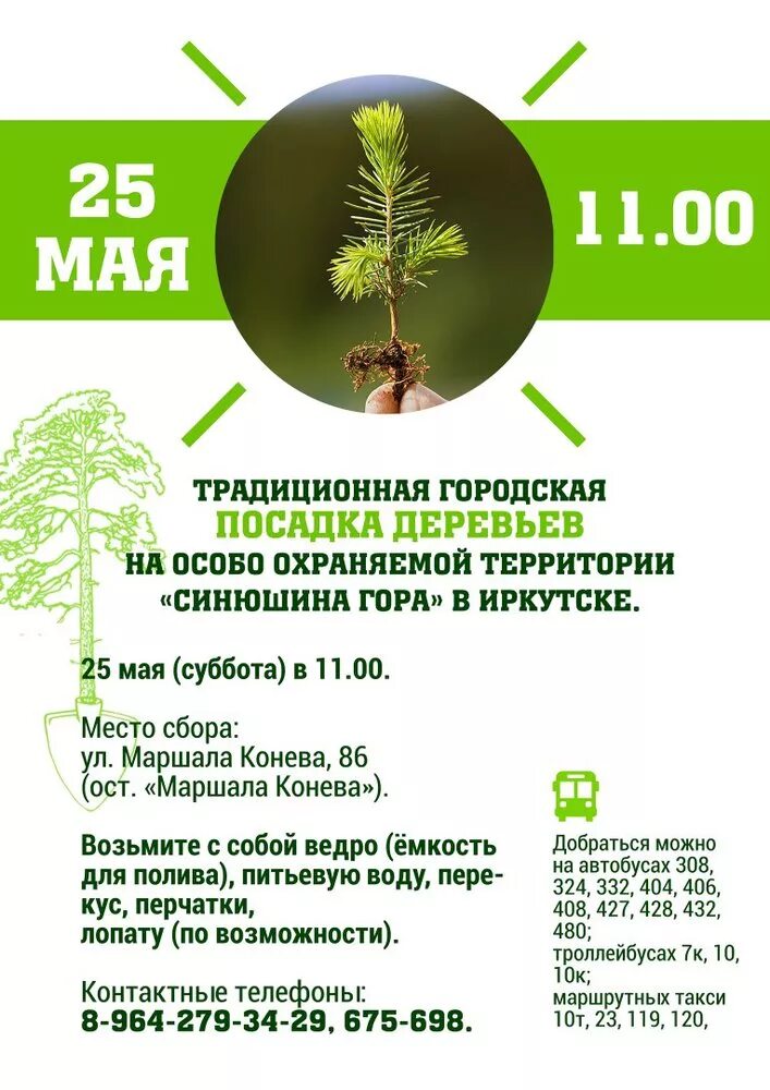 Название посадки деревьев. Акция по посадке деревьев. акция посадки деревьев название. объявление о посадке деревьев. приглашение на посадку деревьев.