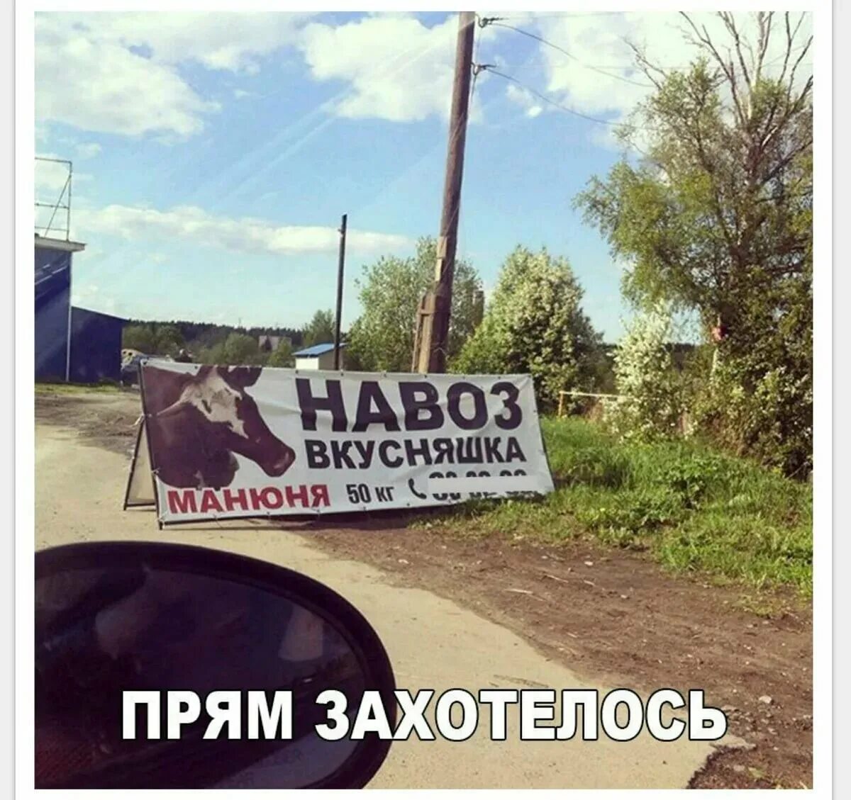 Картинки прикольные смешные с надписями. Прикольные надписи. Юмористические надписи. Фотоприколы с надписями новейшие. Картинки приколы смешные с надписями.