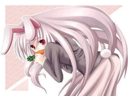 Ines the rabbit girl