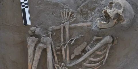Скелеты сахары