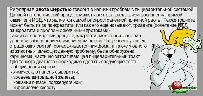 Почему постоянно рвется