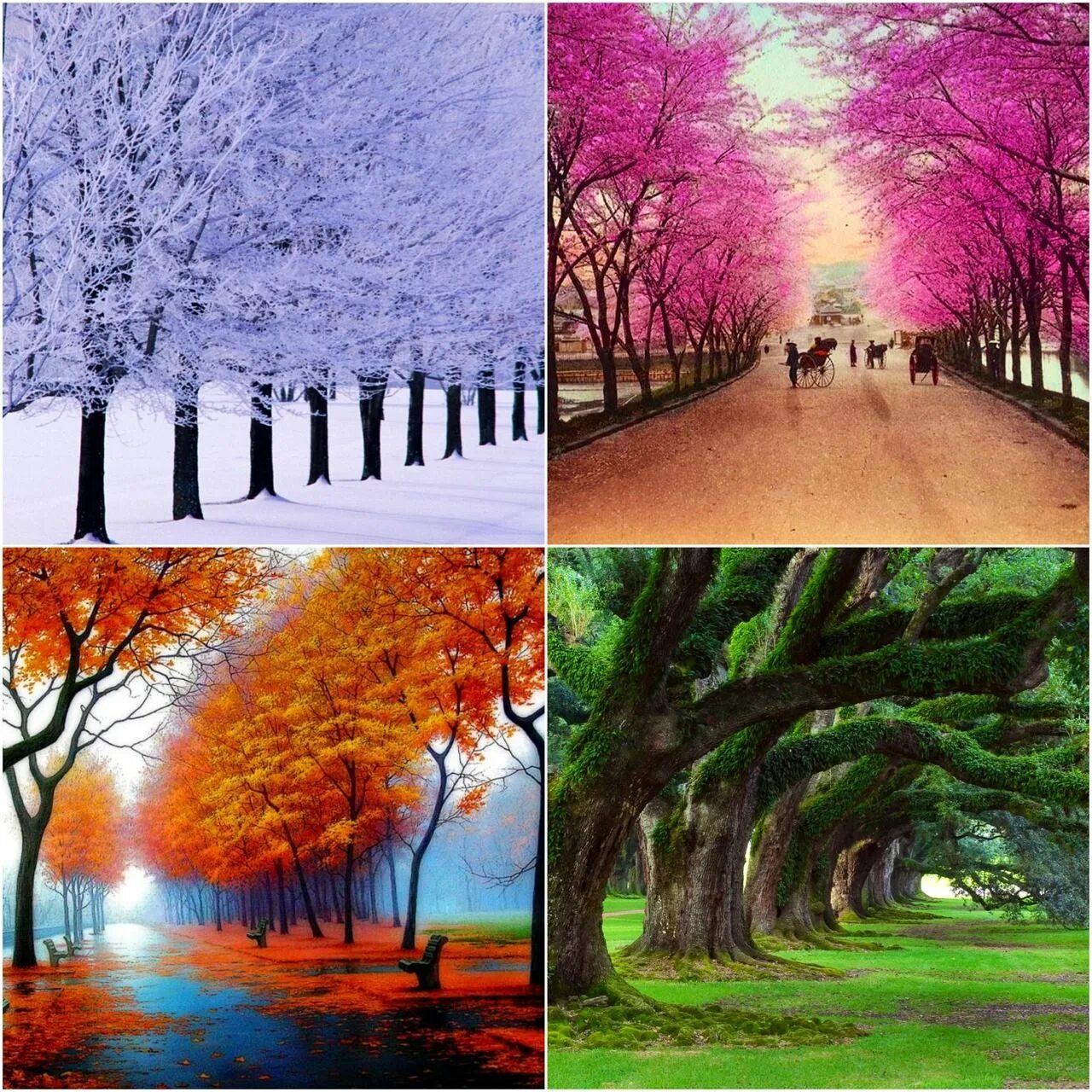 4 Seasons. 4 Seasons Донецк. Seasons are beautiful