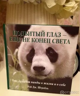 Панда книга