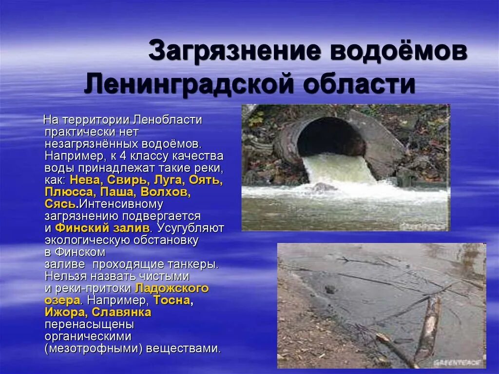 Как деятельность людей влияет на реку неву. Загрязнение водоемов в Ленобласти. Экологические проблемы Санкт-Петербурга. Экологические проблемы Санкт-Петербурга и Ленинградской области. Экологические проблемы Ленобласти.