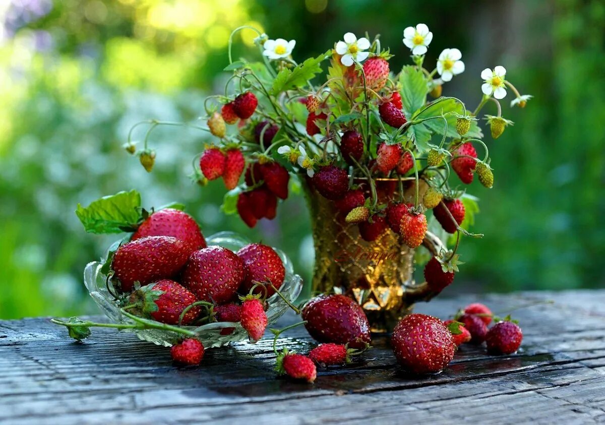 Летние ягоды. Лето земляника. Лето фрукты ягоды. Летний букет цветы ягоды.