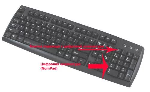 Ответы Mail.ru: КАК ВКЛЮЧИТЬ NUMLOCK НА ПИРАТСКОЙ 7 windoes
