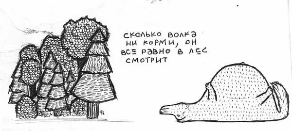 Сколько не корми поговорка. Сколько волка не корми а он все равно стройный. Сколько волка не корми все равно. Весной дождь парит. Сколько не корми поговорка.