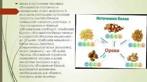Отторжение белка организмом