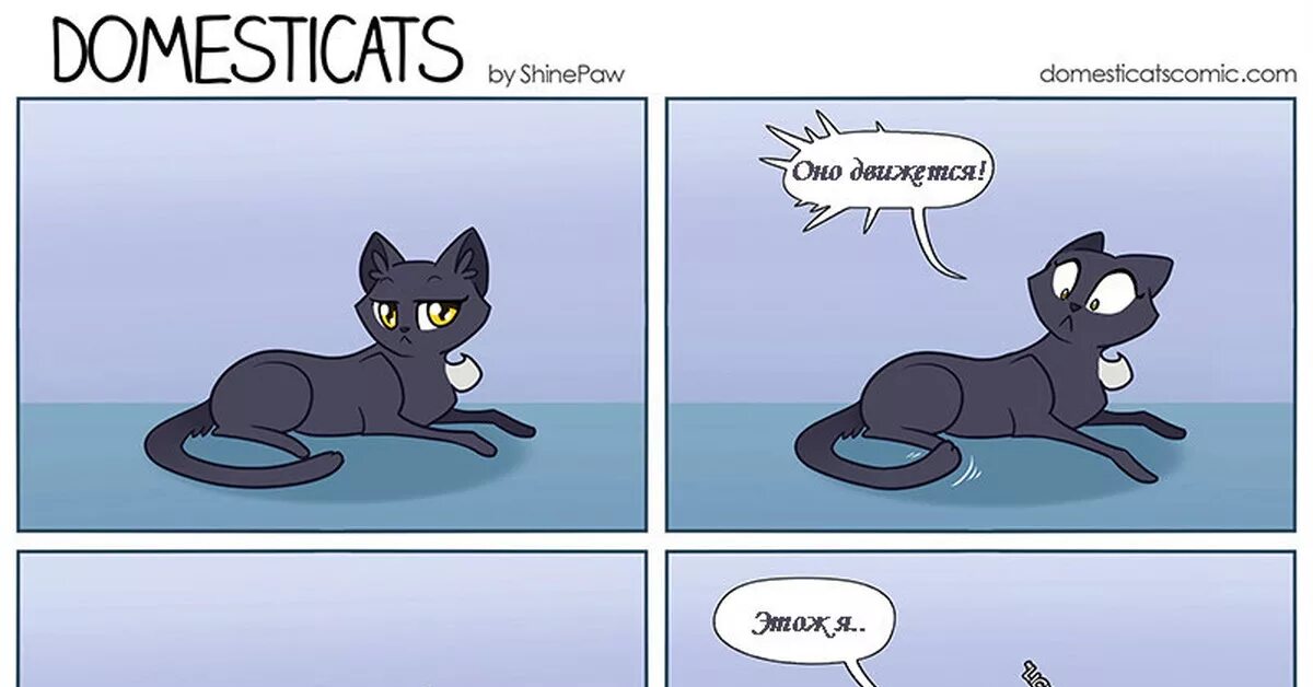 Комикс про кошек. Комиксы про кошек. Смешные комиксы коты. Комиксы породы кошек. Смешные комиксы про котов.