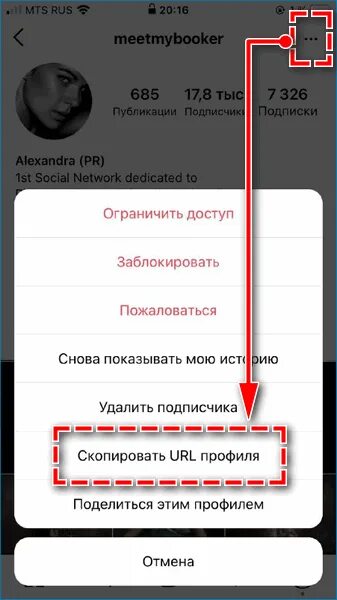 Как скопировать ссылку профиля в инстаграм. Скопировать ссылку в инстаграме. Как Скопировать ссылку на Инстаграмм. Скопировать свою ссылку в инстаграме. Как Скопировать ссылку на инст.