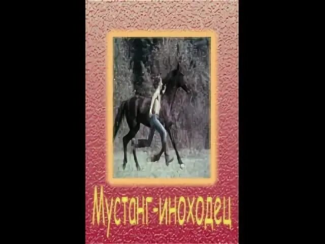 Читать иноходец 1. Сетон томпсон мустанг иноходец. мустанг-иноходец книга.
