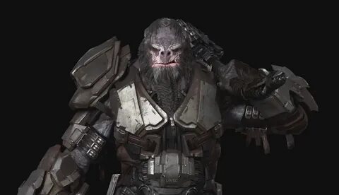 Atriox on the other hand is equipped with his personal armour, energy... 