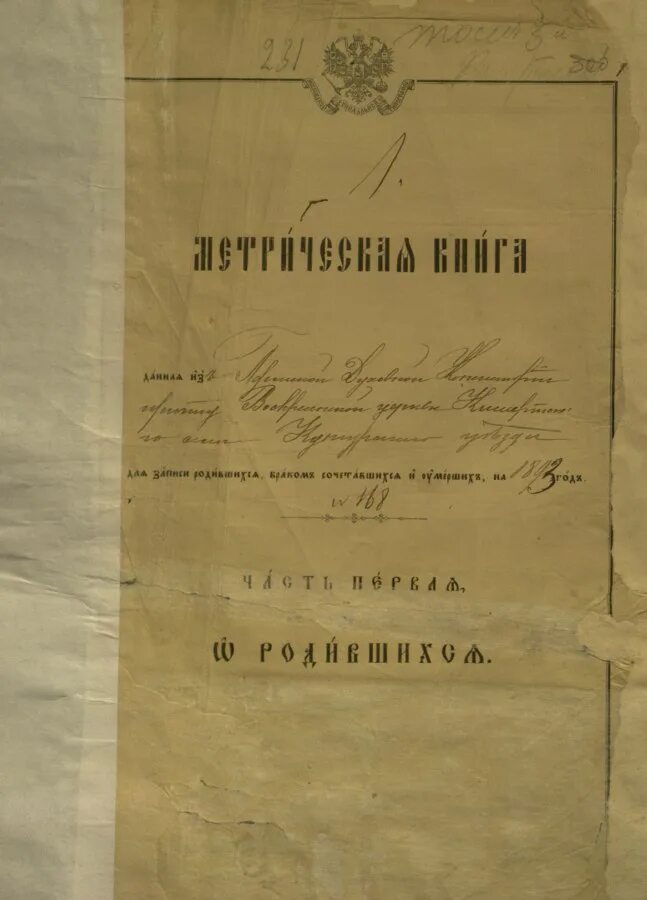 Пермское поколение метрические книги. Метрическая книга Пермской губернии. Метрические книги Пермского края. Метрическая книга Пермской губернии 1888. Поколения Пермского края метрические книги.