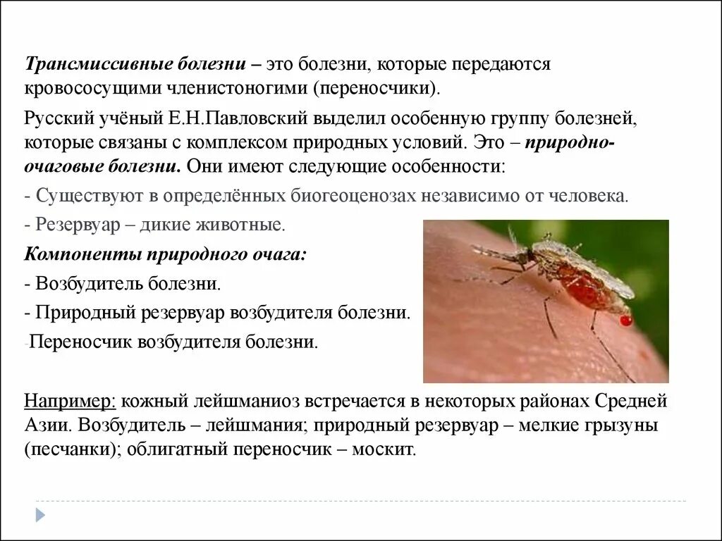 Переносчики опасных заболеваний. Природно очаговые болезни паразиты. Переносчики возбудителей трансмиссивных болезней. Трансмиссивные заболевания членистоногих. Трансмиссивные паразитарные заболевания.