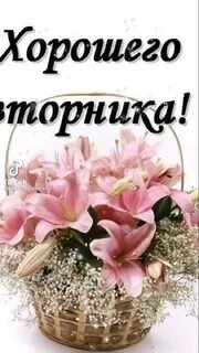 Доброго вторника любимый
