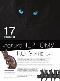 День защиты черного кота 17 ноября