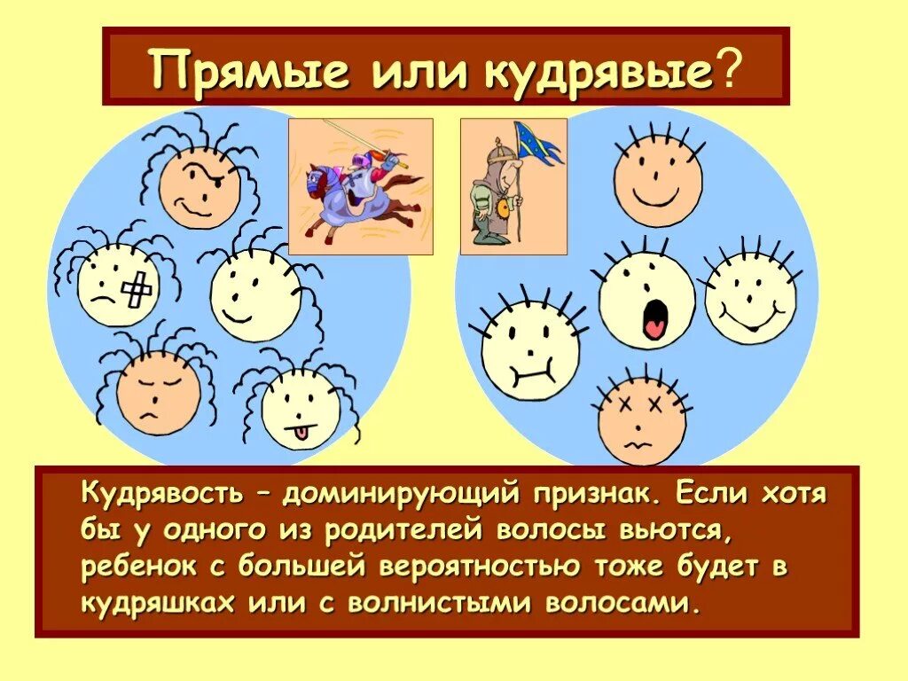 Курчавые волосы доминантный признак. Прямые и вьющиеся волосы доминантный. Волосы прямые волнистые или курчавые доминантный признак. Кудрявые волосы доминантный или. Прямые и кудрявые волосы доминантный признак.