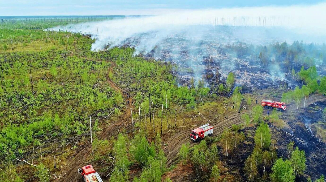 Пожар в тебердинском заповеднике. Пожар в тебердинском заповеднике. Пожар в тебердинском заповеднике. Пожар в тебердинском заповеднике. Пожар в лесу мчс.