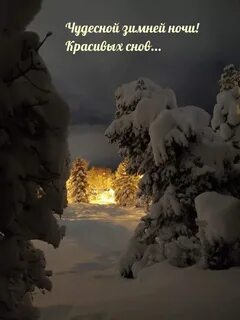 Чудесной зимней ночи