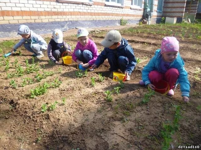 Весенние работы на селе старшая группа. Труд в детском саду. Труд на участке в детском саду. Труд в природе в детском саду. Труд детей в природе в детском саду.