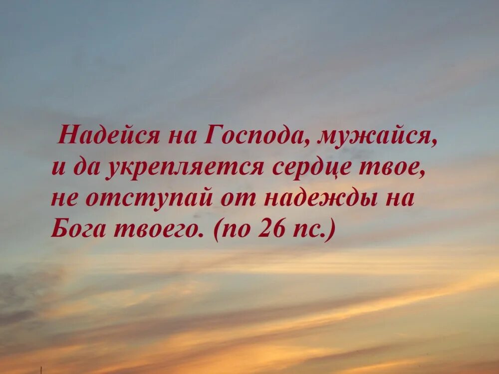 Потерпи господа. Надейся на Господа мужайся. Уповай на Господа всем сердцем. Надейся на Господа и да укрепляется сердце твое.