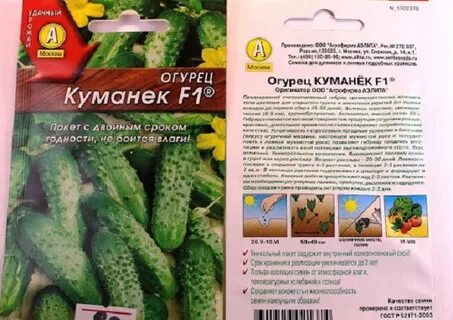 Описание огурцов кибрия