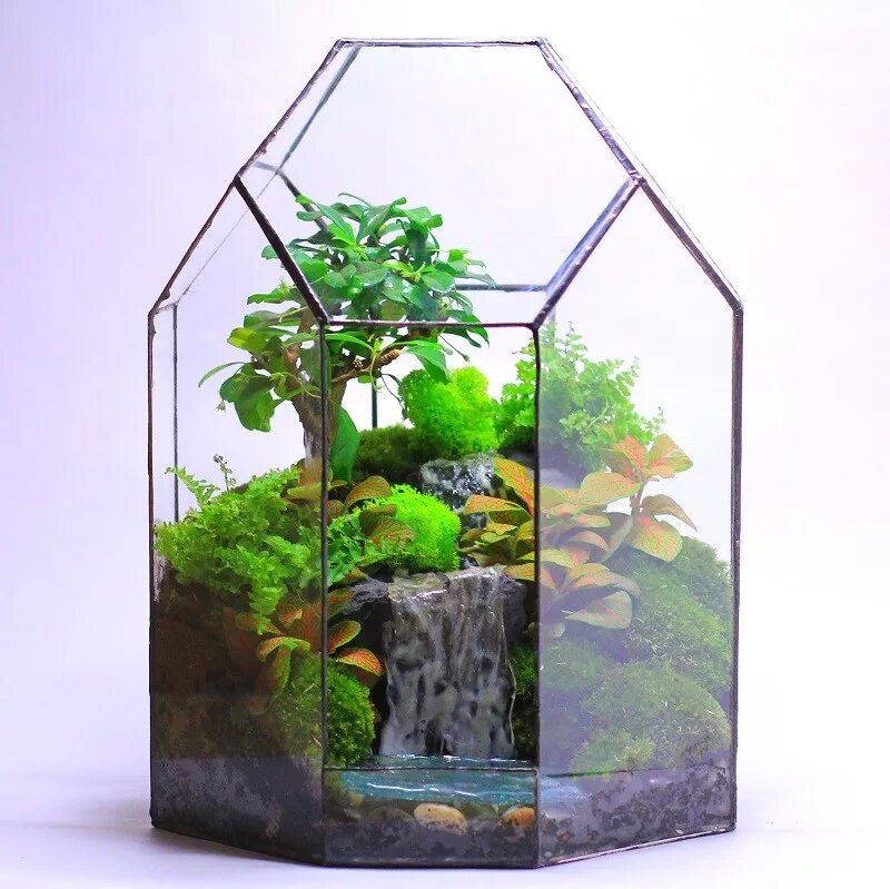 Мини тропики. Palm tree in a pot. Флорариум замкнутая экосистема. Мини тропики. Тропический принт для юбки.
