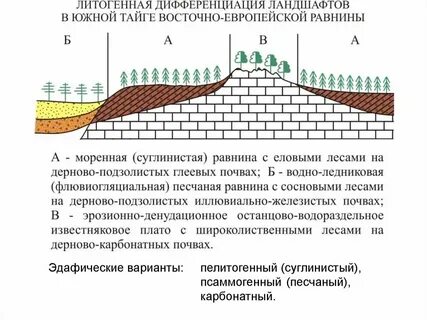 Ландшафтная характеристика