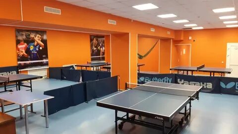 Спорт петрозаводск