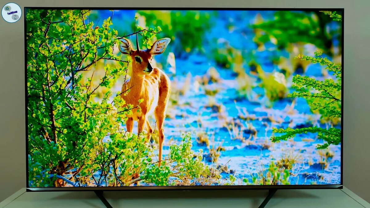 55u7hq led. Hisense 55u7qf 2025 led, hdr. хайсенс 55u7qf. hisense 65e7hq. hisense 65e7hq 2025 qled.