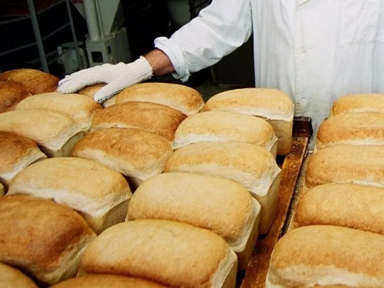 Хлеб повышение цен. Производители хлеба. Хлеб витязь крымхлеб. Мишустин хлеба. Хлеб в магазине.