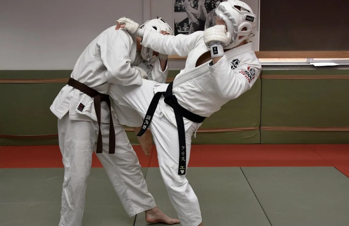 Tae kwon do. Единоборства 4 букв. Книга тхэквондо теория. Единоборства 4 букв. Хирокадзу канадзава.