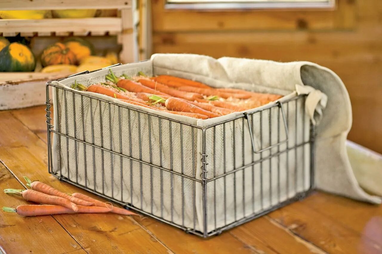 Ящик для хранения моркови. Ящик для хранения моркови в песке. Морковь в ящике. Ящик для моркови в погребе. Как лучше хранить морковь