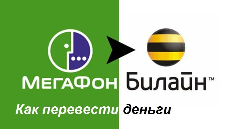 Билайн МЕГАФОН. Билайн МЕГАФОН картинки. МЕГАФОН или Билайн. МТС МЕГАФОН Билайн картинки. Перевести с телефона мегафон на билайн