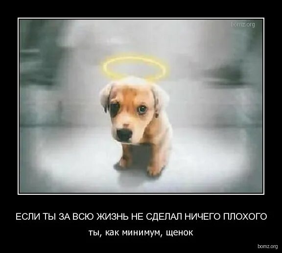 Ничего плохого кроме хорошего. Ничего плохого. я не делала ничего плохого. я ничего плохого не сделала тебе. картинка не делаю ничего плохого.