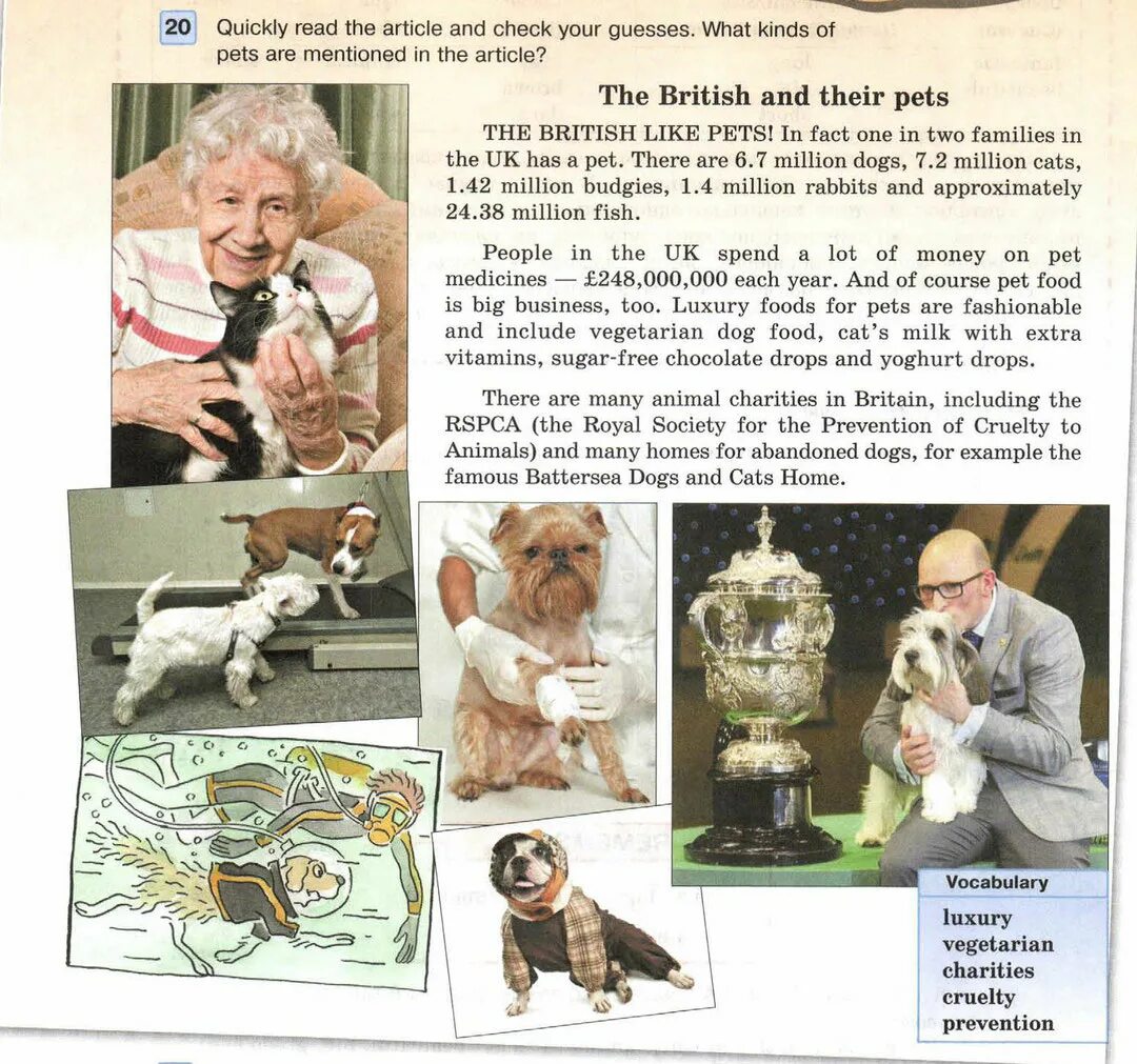 Англ вербицкая 6 класс 2 часть. Pet учебник. British and their Pets. Английский язык 6 класс Вербицкая 1 часть номер 20. Учебник английского 6 класса forward.