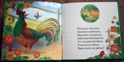 Поющий петушок гребешок