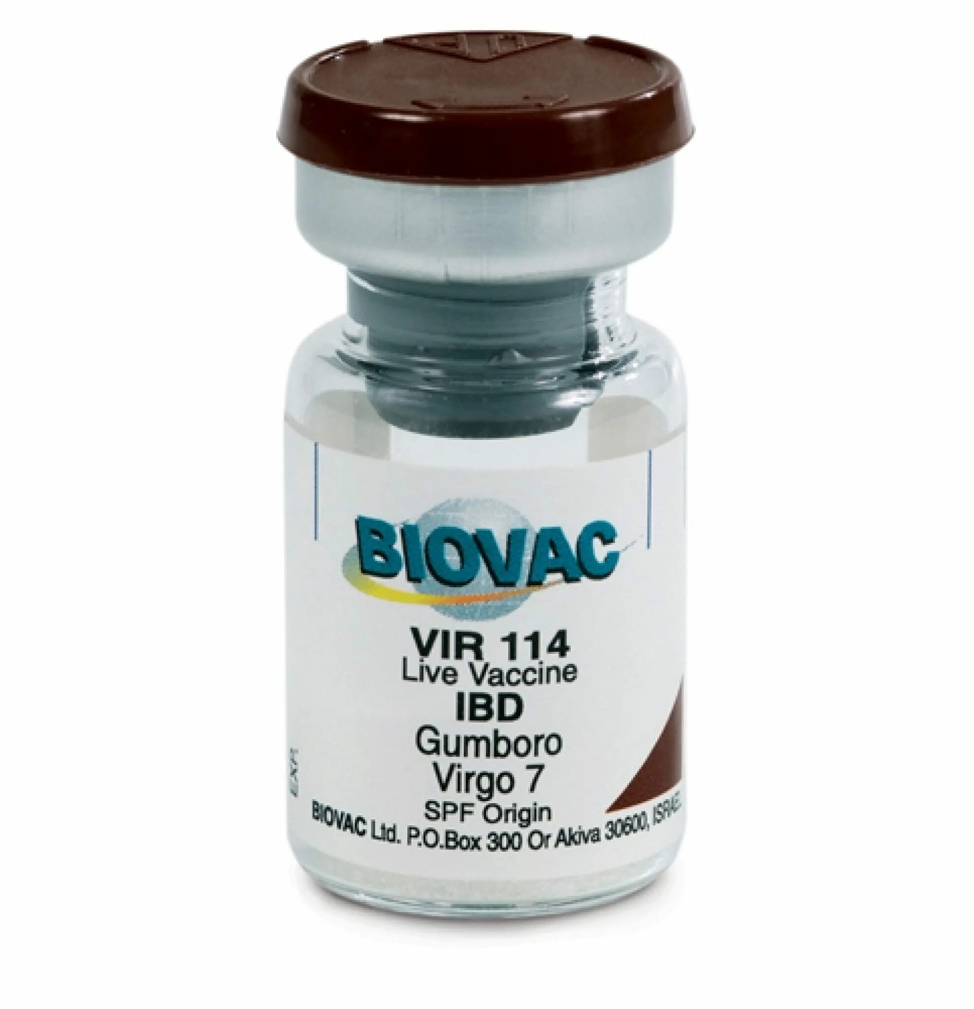 Вакцина гамборо. BIOVAC вакцина. Биовак dpal. Гамборо вакцина. Биовак вакцина для собак производитель.