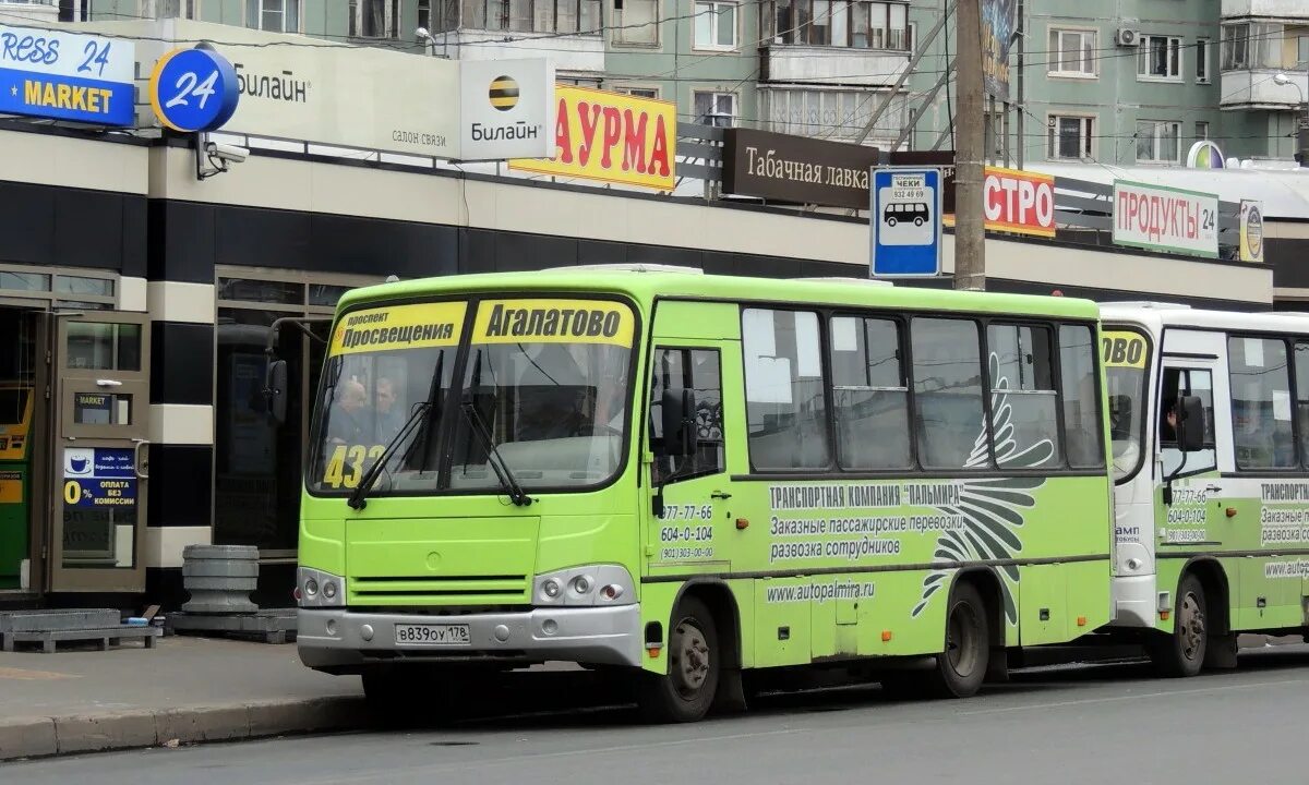 Золотой автобус спб. Автобус метро Просвещение. Маршрутка 436. Маршрутка 216. Автобус до Сенной.