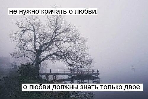 Не кричи о любви. Не тот любит кто кричит о своей любви. Любовь должна быть тихой. Любовь любит тишину.