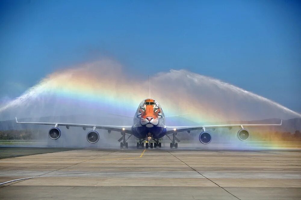 Самолеты новые вода. Тигролет Трансаэро. Boeing 747 Transaero. Трансаэро самолет с тигром. Водная арка для самолетов.