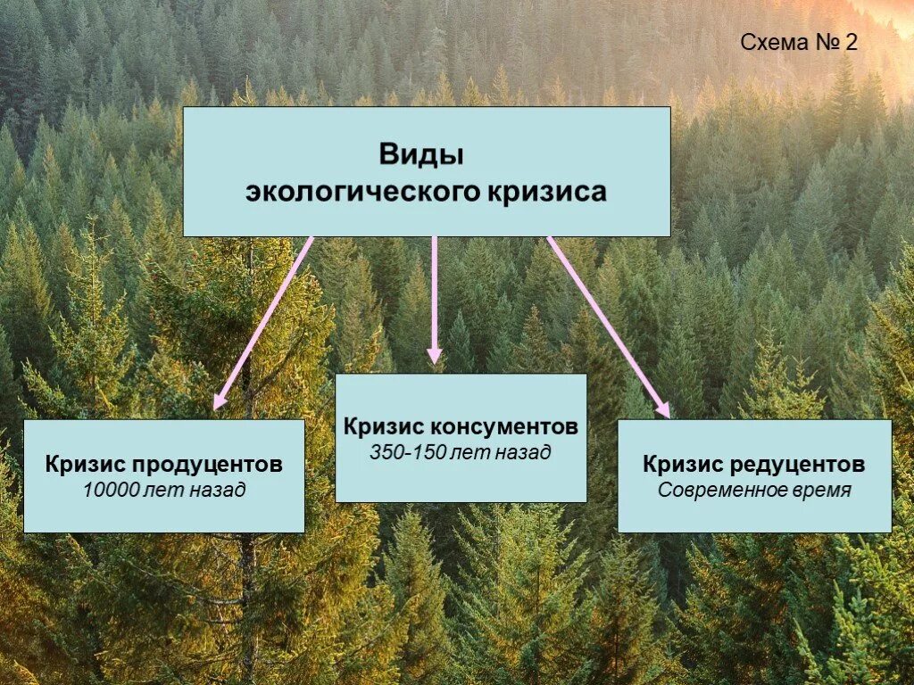 Сущность экологического кризиса заключается